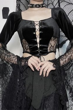 Gothic Sheer Lace Mesh Top Goth Spider Web Corset Top Witch Tops Dark Vintage Court Flare Sleeve Top Vintage Style Top Hollow Bustier Top