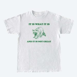 It Is What It Is Tee - Y2K Aesthetic Graphic Tee for 90s Fashion Lovers