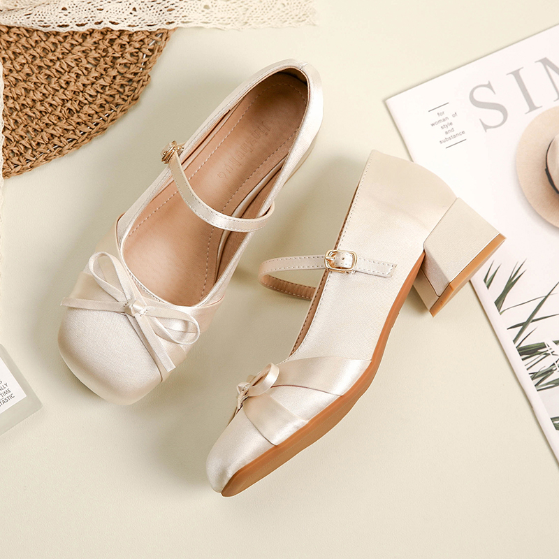 Sheepskin Mary Jane Women's Shoes, Chunky Heel High Heels for Skirts, French Style Spring Autumn Fashion