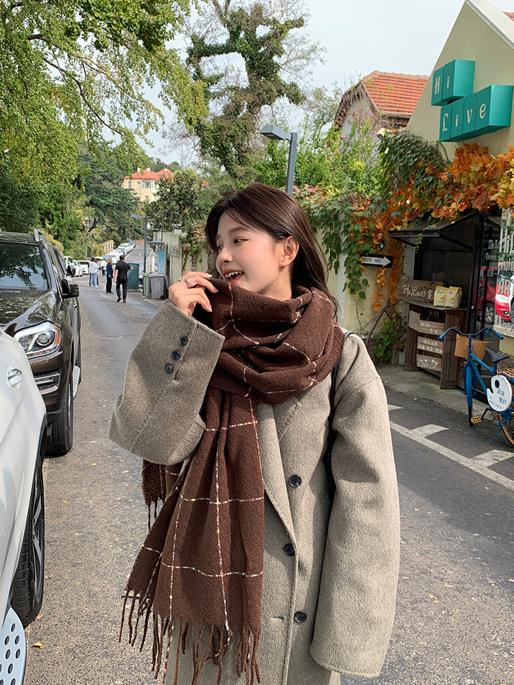 2025 Women's Imitation Cashmere Scarf - Plaid High-End Shawl Neck Warmer for Autumn and Winter Fashion Trend