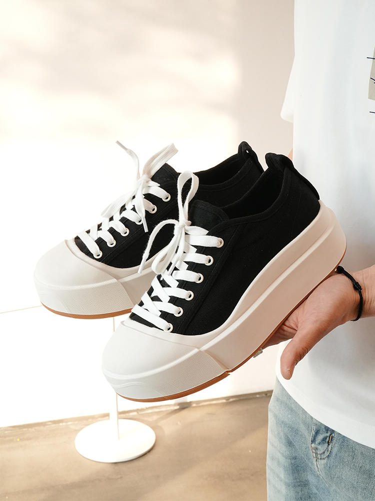 Light Luxury Lace-Up Canvas Shoes for Men - Trendy Lightweight Versatile Rubber Sole Footwear for Spring 2025 Fashion