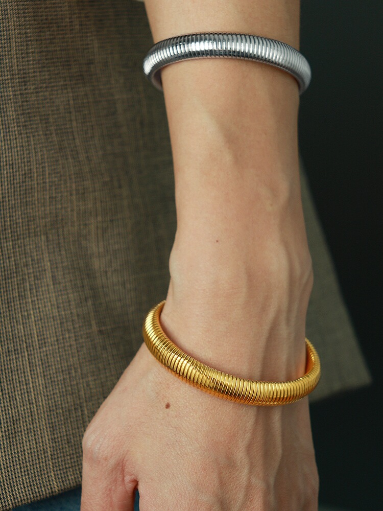 Vintage Gender-Neutral Minimalist Titanium Steel Snake Bone Bracelet - Retro European American Cold Style Accessory